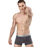 Brand Calvin Male Underwear Men Boxer Modal Mens Sexy Underpants For Men Gay Panties Comfortable Short Cuecas Soft Boxer Homme